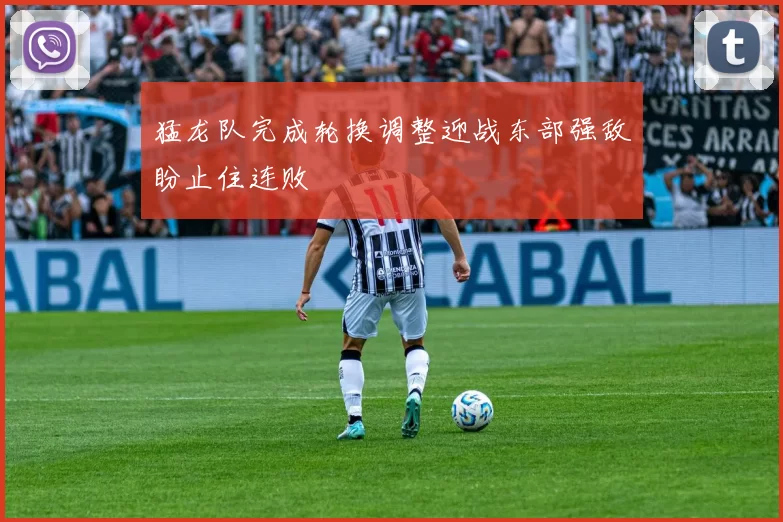 猛龙队完成轮换调整迎战东部强敌盼止住连败