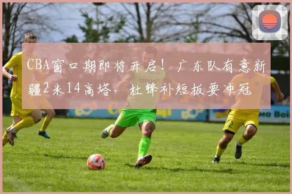 CBA窗口期即将开启！广东队有意新疆2米14高塔，杜锋补短板要冲冠