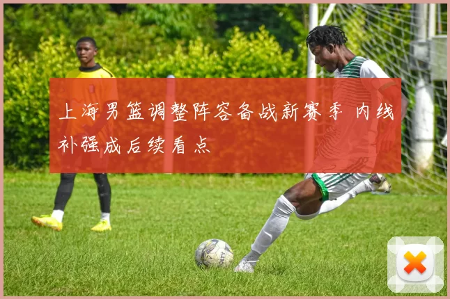上海男篮调整阵容备战新赛季 内线补强成后续看点