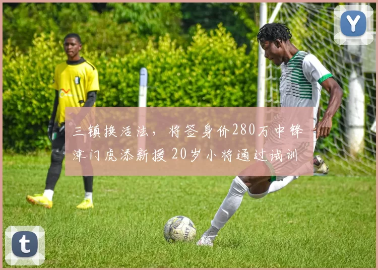 三镇换活法，将签身价280万中锋 津门虎添新援 20岁小将通过试训