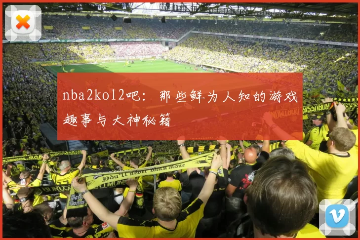 nba2kol2吧：那些鲜为人知的游戏趣事与大神秘籍