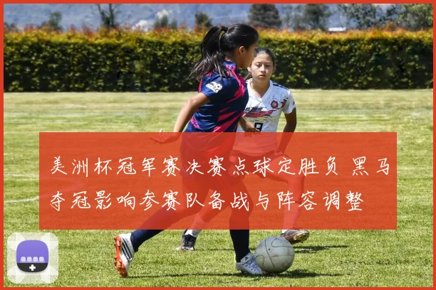 美洲杯冠军赛决赛点球定胜负 黑马夺冠影响参赛队备战与阵容调整