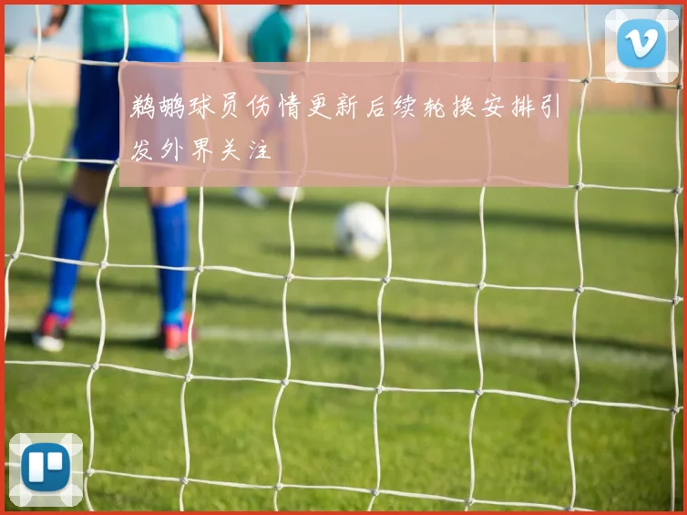鹈鹕球员伤情更新后续轮换安排引发外界关注